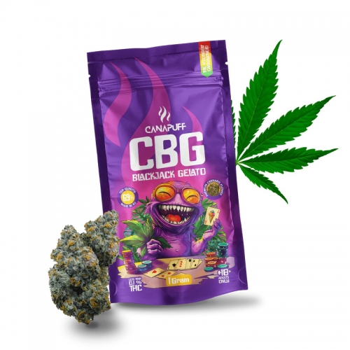 CBG „Blackjack Gelato“ žiedai, 69 %