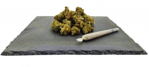 Amnesia Haze CBD svoris: 1 g